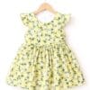 Sunshine Meadow Frock