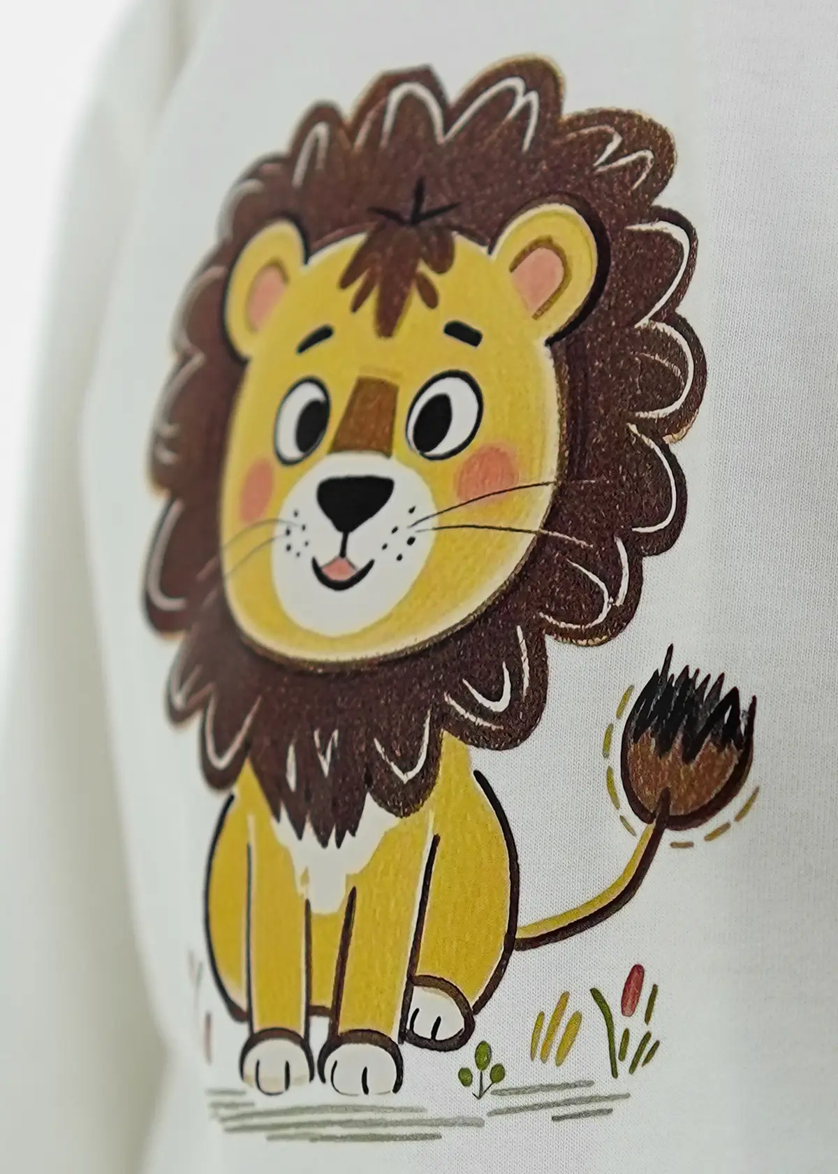 lion cub tracksuit 3 piece 3
